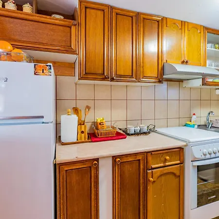 Tatil Evi Vikendica Zivotic