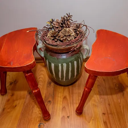 Feriehus Vikendica Zivotic *